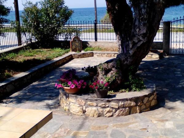Aegialis Villa Skala Kallirachis Exterior photo